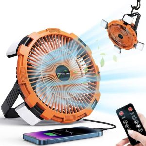 Multi function fan with light